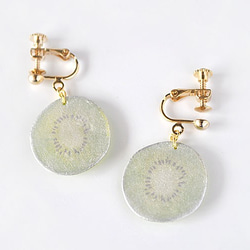 Kiwi earring キウイ 夏 フルーツ イヤリング ピアス 3枚目の画像