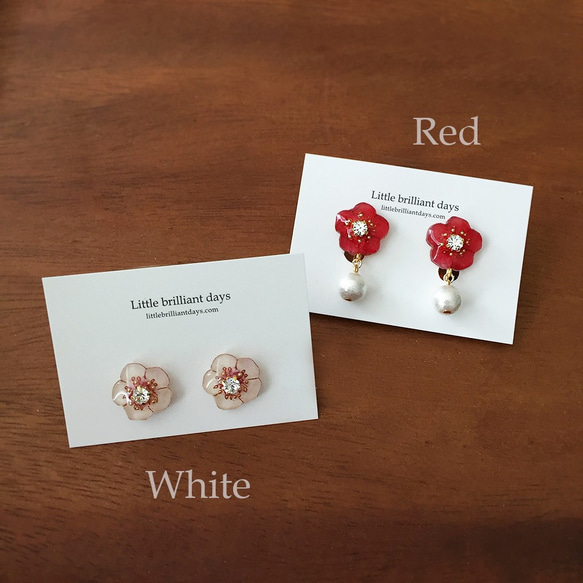 UME EARRING（請選擇彩色耳環耳環零件） 第2張的照片