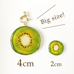 BIG KIWI EARRING　大ぶりキウイイヤリング＊夏 3枚目の画像