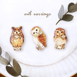 【３種】Owl earring｜フクロウイヤリング・ピアス〔鳥・動物シリーズ〕 5枚目の画像