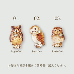 【３種】Owl earring｜フクロウイヤリング・ピアス〔鳥・動物シリーズ〕 2枚目の画像
