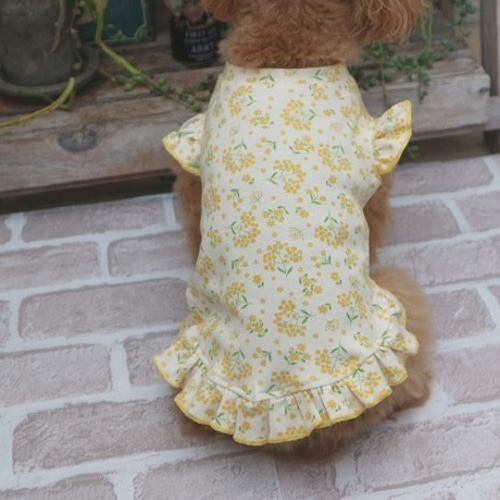 再販）ミモザフリルニットワンピース(犬服） ペット服・アクセサリー