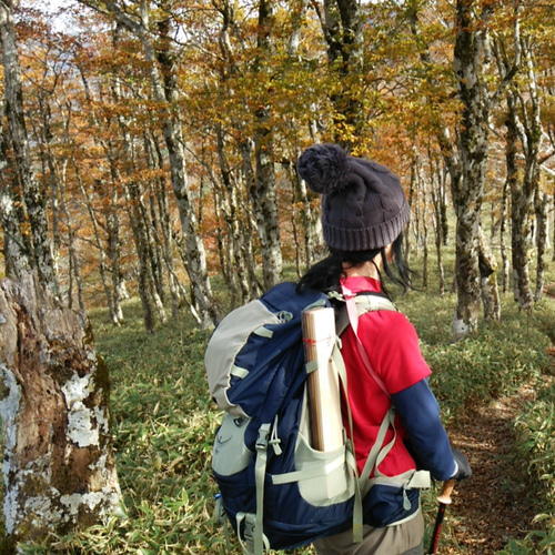 Amazon.co.jp: 登山 テーブル ウエハーシス 200エアー 軽量