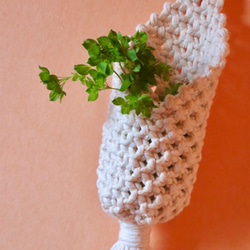 お得なセット！流木ハンガー&エアプランツホルダー&チランジアホルダー