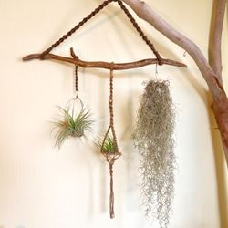 流木☆プランツハンガー Amazon.co.jp: KANMURYOU マクラメ×流木プラントハンガー H45cm