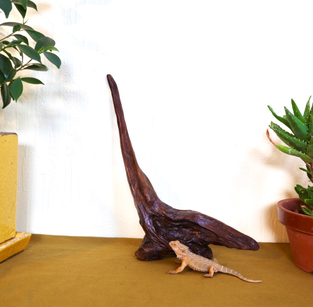 流木アート⚫︎恐竜 置物 インテリア かっこいい サンゴ 貝殻 オブジェ