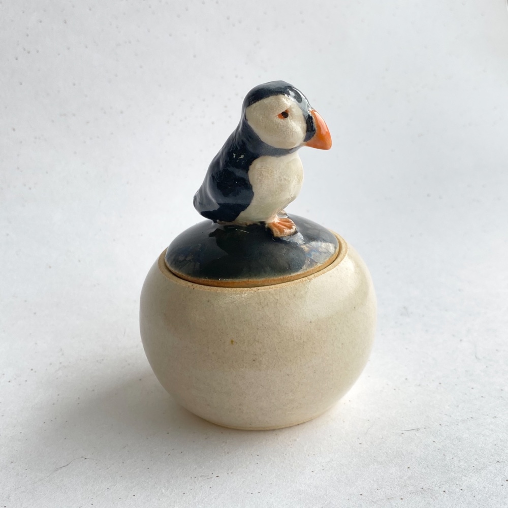 陶のハコ・手のり小鳥「ニシツノメドリ」