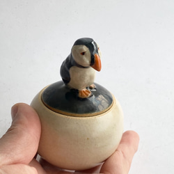陶のハコ・手のり小鳥「ニシツノメドリ」 4枚目の画像