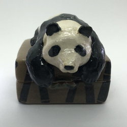 陶のハコ「いねむりパンダ」 4枚目の画像