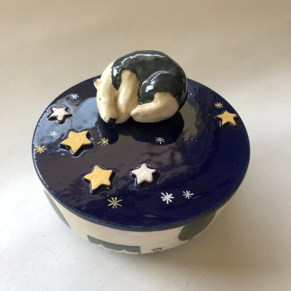陶のハコ「星空のアリクイ」 1枚目の画像