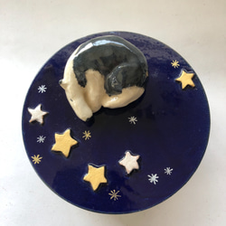 陶のハコ「星空のアリクイ」 2枚目の画像