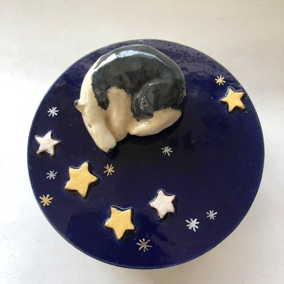 陶のハコ「星空のアリクイ」 2枚目の画像