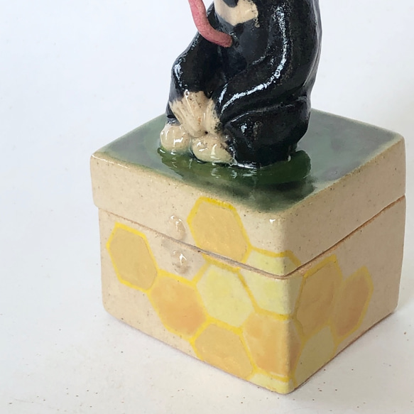 陶のハコ「マレーグマ」 3枚目の画像