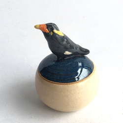 陶のハコ・手のり小鳥「キュウカンチョウ」 1枚目の画像