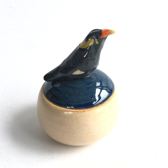 陶のハコ・手のり小鳥「キュウカンチョウ」 2枚目の画像
