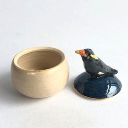 陶のハコ・手のり小鳥「キュウカンチョウ」 3枚目の画像