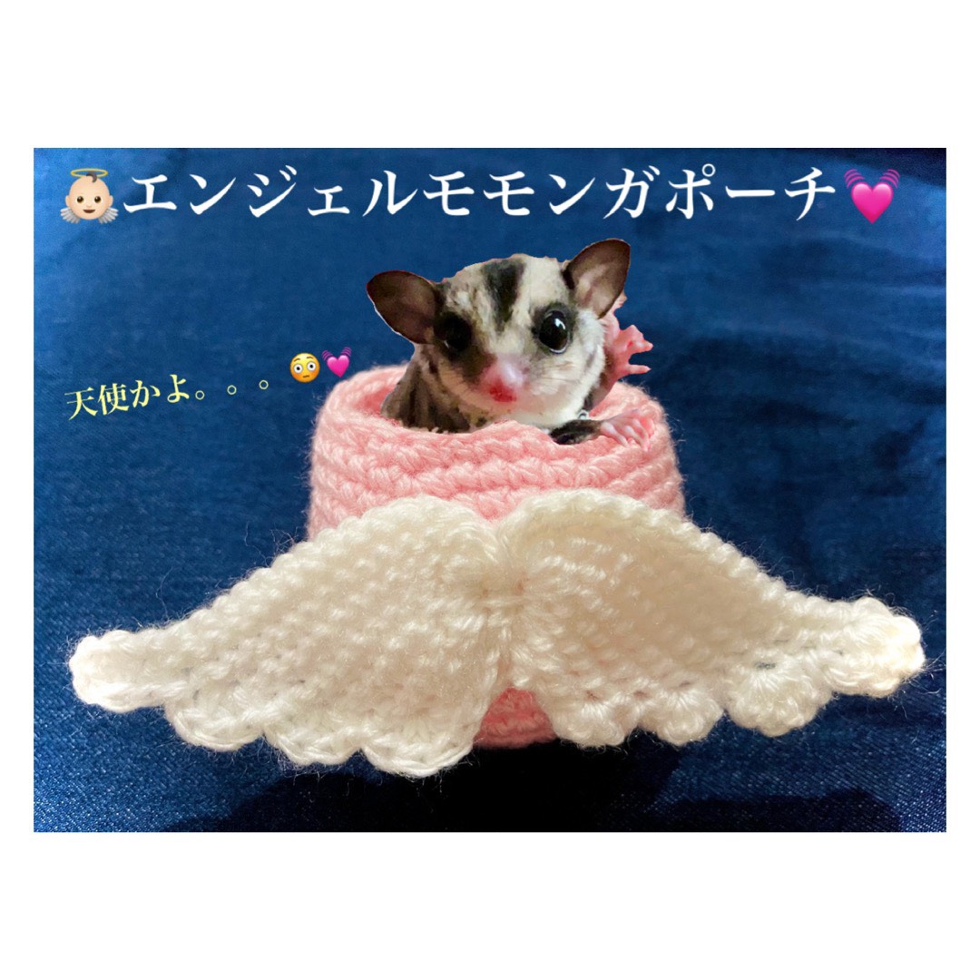 フクロモモンガ オーダーページ hitomio663様 】フクロモモンガポーチ