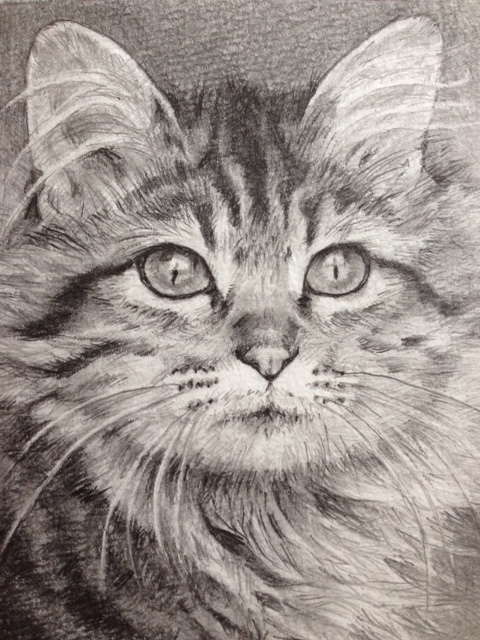 A4 額縁付き原画　猫の絵画 鉛筆画『ヨルのおさんぽ』 送料無料