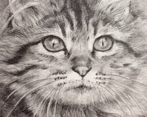 公式通販サイト - ファッション 通販 0_dd499ad0246f81ef803c985815d4 絵画