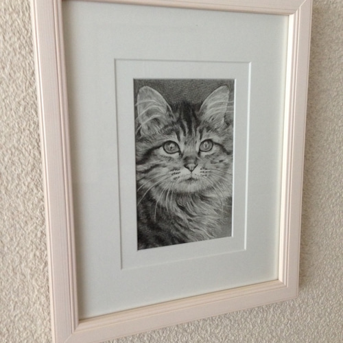 猫の鉛筆画 原画 額付き 絵画 solaris 通販 3106203|Creema 猫の鉛筆画 原画 額付き 絵画 solaris 通販 3106203|Creema