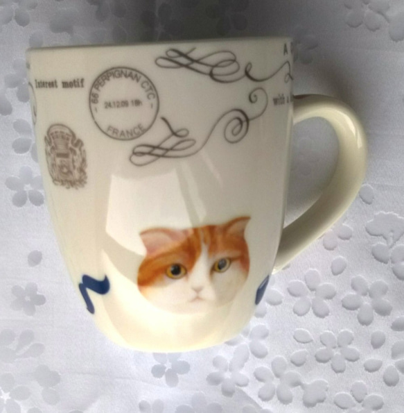 ( ニャンダ！？フルシリーズ①）男の猫（おとこのこ）変装マグカップ 3枚目の画像