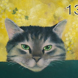 猫のポストカード（猫と花）（あやめ・ミモザ・紫式部・他）（選べる5枚セット） 6枚目の画像