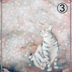 猫さんシール3枚セット（大） 4枚目の画像