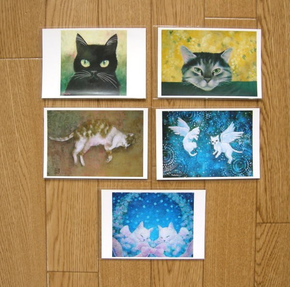 猫のポストカード（選べる5枚セット） 3枚目の画像