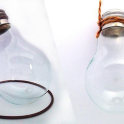 電球インテリア　～一輪挿し、花瓶、テラリウム容器に～ 3枚目の画像