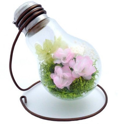 電球インテリア　～一輪挿し、花瓶、テラリウム容器に～ 5枚目の画像