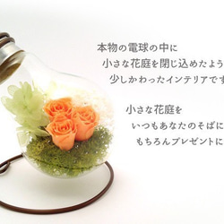 電球テラリウム プリザーブドアレンジ ～花庭Style～ サンセットオレンジローズ 2枚目の画像