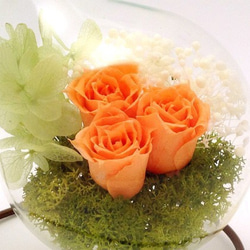 電球テラリウム プリザーブドアレンジ ～花庭Style～ サンセットオレンジローズ 3枚目の画像