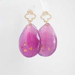 紫紺野牡丹　乾燥花花瓣　樹脂加工　耳環　❊空郵台灣5-7天 第1張的照片