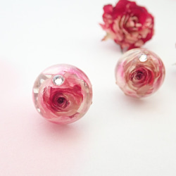 晶瑩　玫瑰乾燥花✕Swarovski　樹脂加工耳夾　Tenshinranman's Rosemantic空郵台灣5-7 第2張的照片