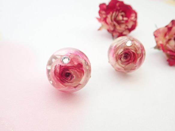 晶瑩　玫瑰乾燥花✕Swarovski　樹脂加工耳夾　Tenshinranman's Rosemantic空郵台灣5-7 第2張的照片