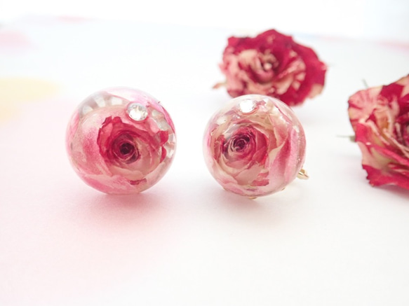 晶瑩　玫瑰乾燥花✕Swarovski　樹脂加工耳夾　Tenshinranman's Rosemantic空郵台灣5-7 第1張的照片
