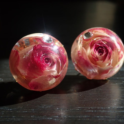 晶瑩　玫瑰乾燥花✕Swarovski　樹脂加工耳夾　Tenshinranman's Rosemantic空郵台灣5-7 第4張的照片