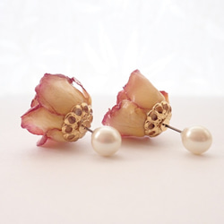 Rosemellia　玫瑰乾燥花　樹脂加工耳環＋珍珠後耳扣　橙色　❊空郵台灣5-7天 第3張的照片