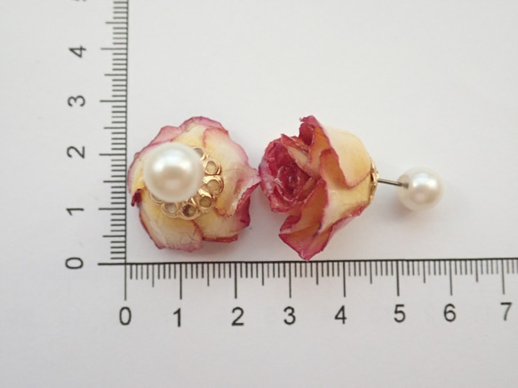 Rosemellia　玫瑰乾燥花　樹脂加工耳環＋珍珠後耳扣　橙色　❊空郵台灣5-7天 第6張的照片
