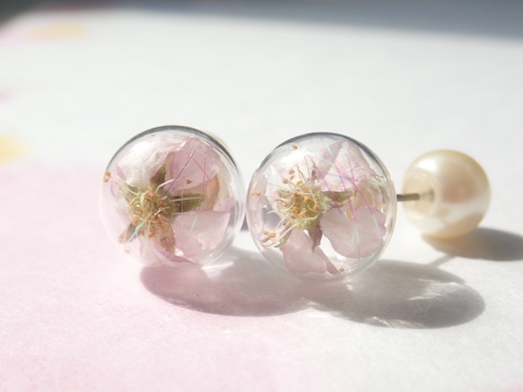 桜ハンドメイド2022 啓翁桜　虹色　一粒ピアス　パールキャッチ 1枚目の画像