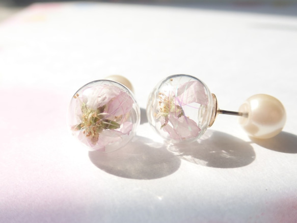 桜ハンドメイド2022 啓翁桜　虹色　一粒ピアス　パールキャッチ 3枚目の画像