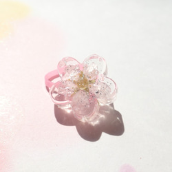 Baby Sakura　啟翁櫻乾燥花髮圈＋髮夾套裝　❊空郵台灣5-7天 第2張的照片