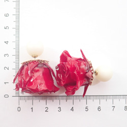 Rosemellia　玫瑰永生花　樹脂加工耳環　珍珠後耳扣　❊空郵台灣5-7天 第8張的照片