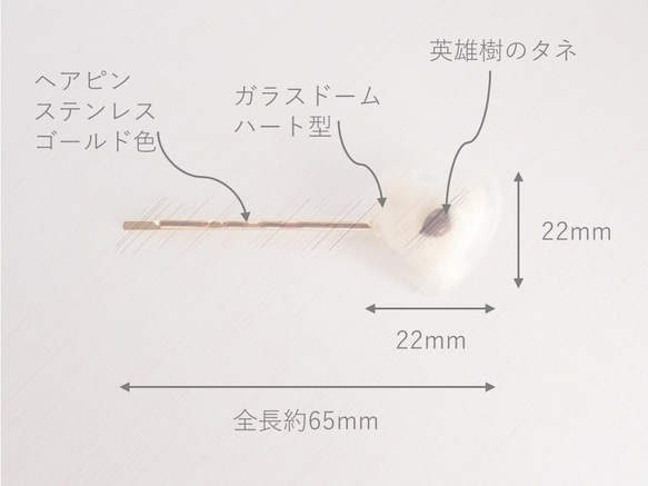 英雄樹種子　玻璃球髮夾　❊空郵台灣5-7天 第4張的照片