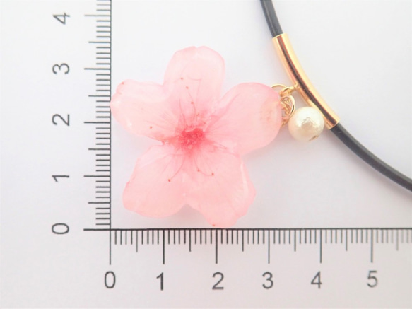 櫻美人　本物のお花✕コットンパール　スタイネックレス 5枚目の画像
