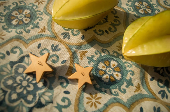 你以為的星星其實是楊桃 starfruit 臺灣檜木 別針 第1張的照片