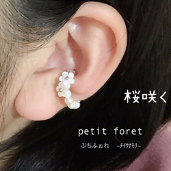 再…再販「桜咲く」ホワイトシェル桜 リングカフ、ear clip、foop earring 花　flower 1枚目の画像