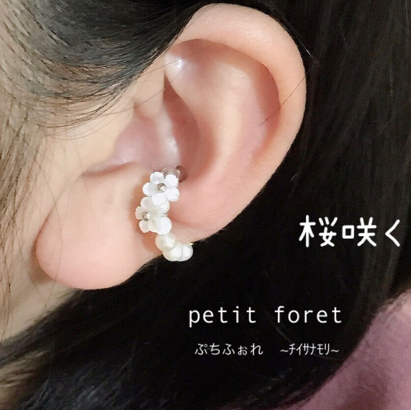 再…再販「桜咲く」ホワイトシェル桜 リングカフ、ear clip、foop earring 花　flower 1枚目の画像