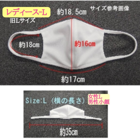 2色使いLサイズ☆アイロン不要☆息のしやすいドライ速乾UVカット素材☆洗える立体マスク 3枚目の画像