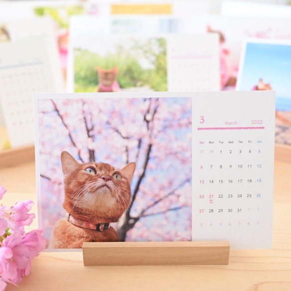 2021年4月始まり猫カレンダー（木製スタンド付） 3枚目の画像